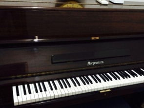 圖 摩尚琴行專業批發鋼琴 零售 出租出售,價格優惠 上海文體 樂器