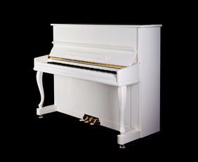 新聞欄目 太原藍天二手鋼琴行