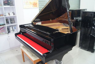 二手鋼琴的維護(hù),二手鋼琴的維護(hù)生產(chǎn)廠家,二手鋼琴的維護(hù)價格