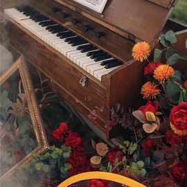 鍵手風琴與二手鋼琴 如何選擇與保值